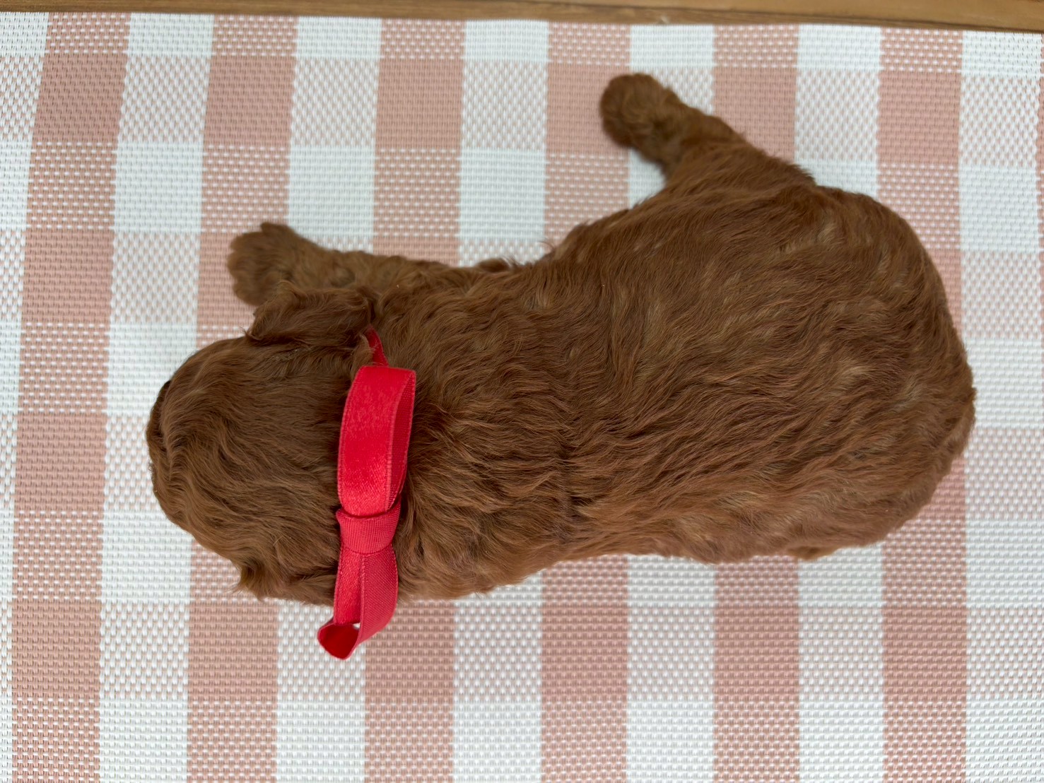 赤ちゃん写真2-3
