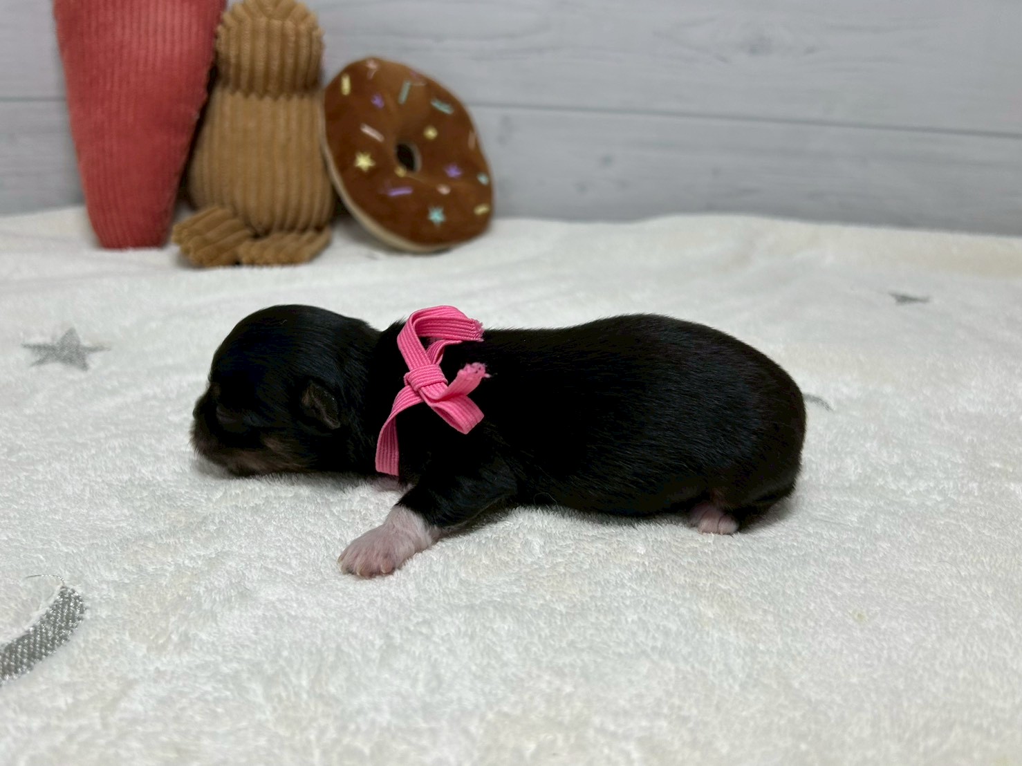 赤ちゃん写真1-2