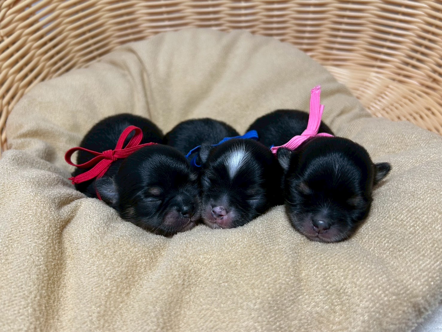 赤ちゃん写真1-3