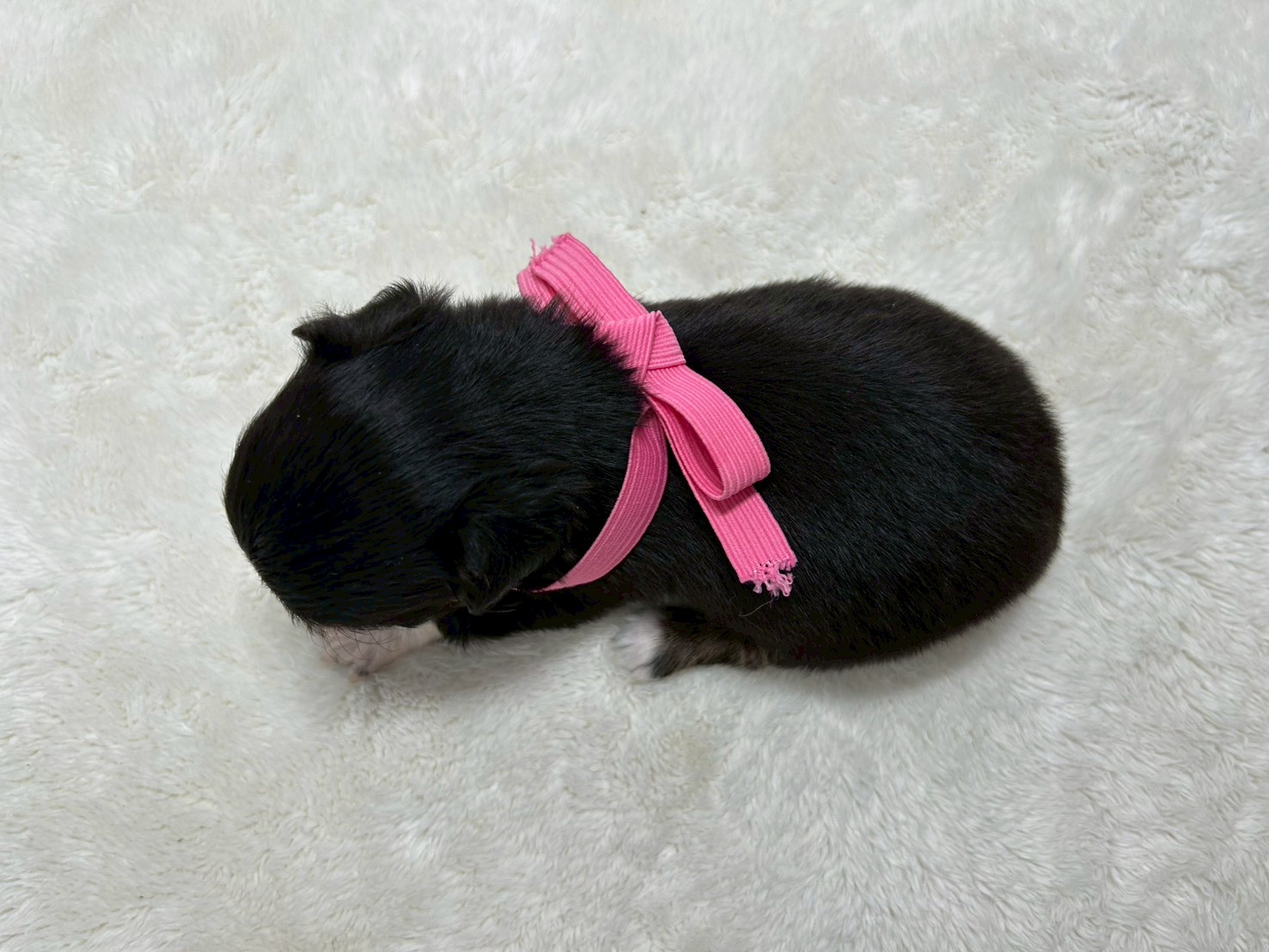 赤ちゃん写真2-3