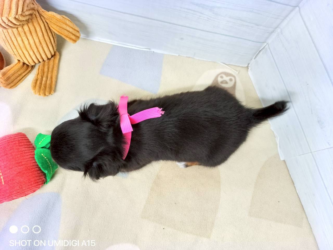 赤ちゃん写真3-3