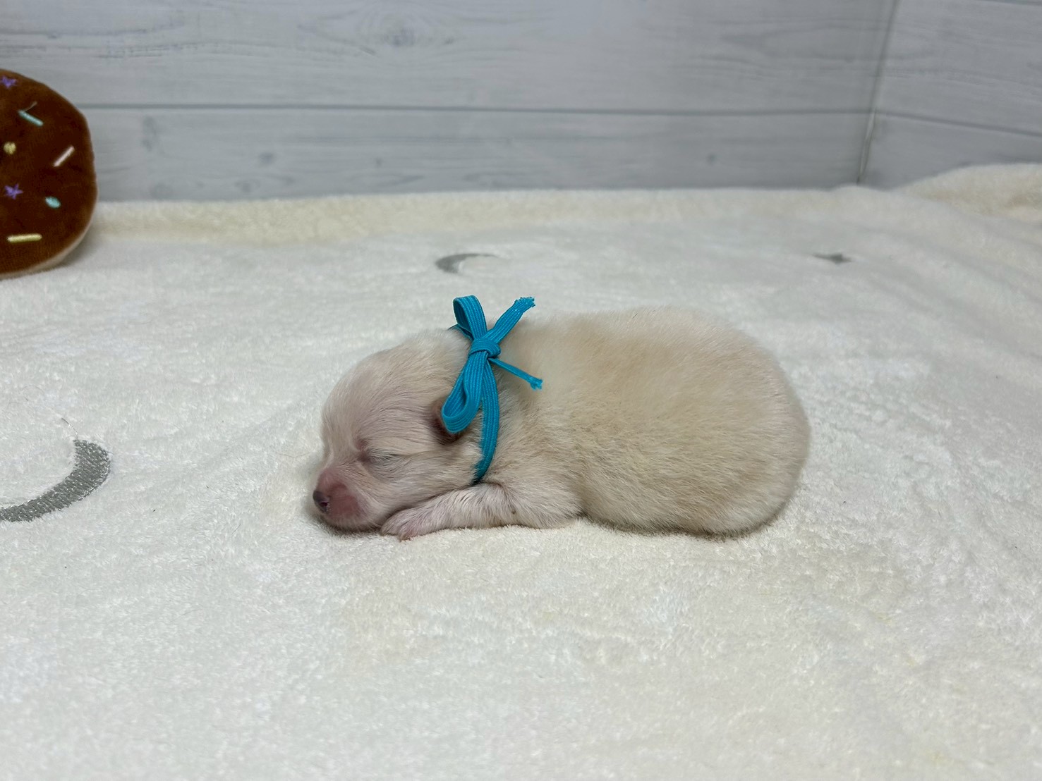 赤ちゃん写真1-2