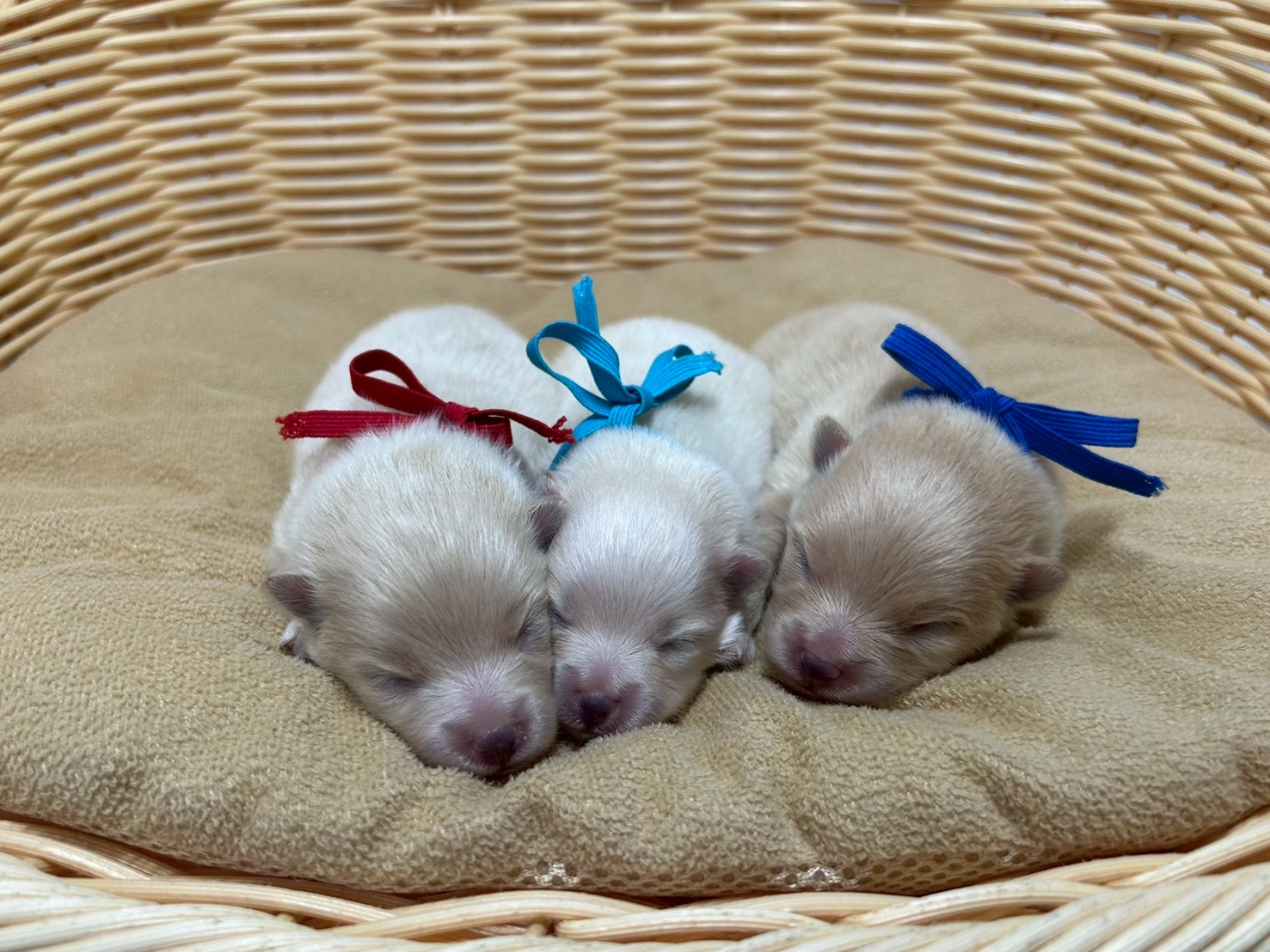 赤ちゃん写真1-3