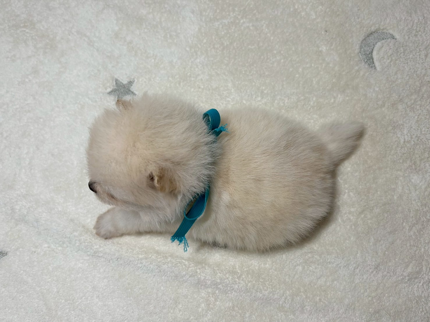 赤ちゃん写真2-3