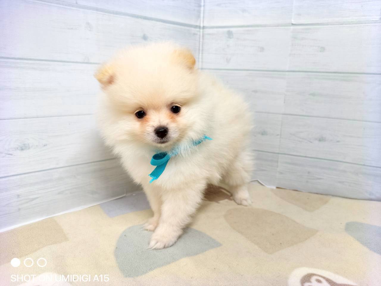 赤ちゃん写真3-1