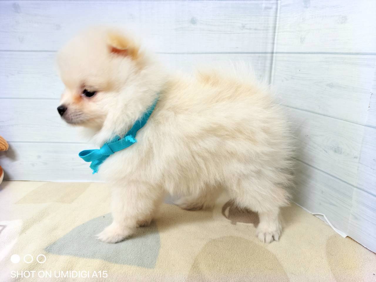 赤ちゃん写真3-2