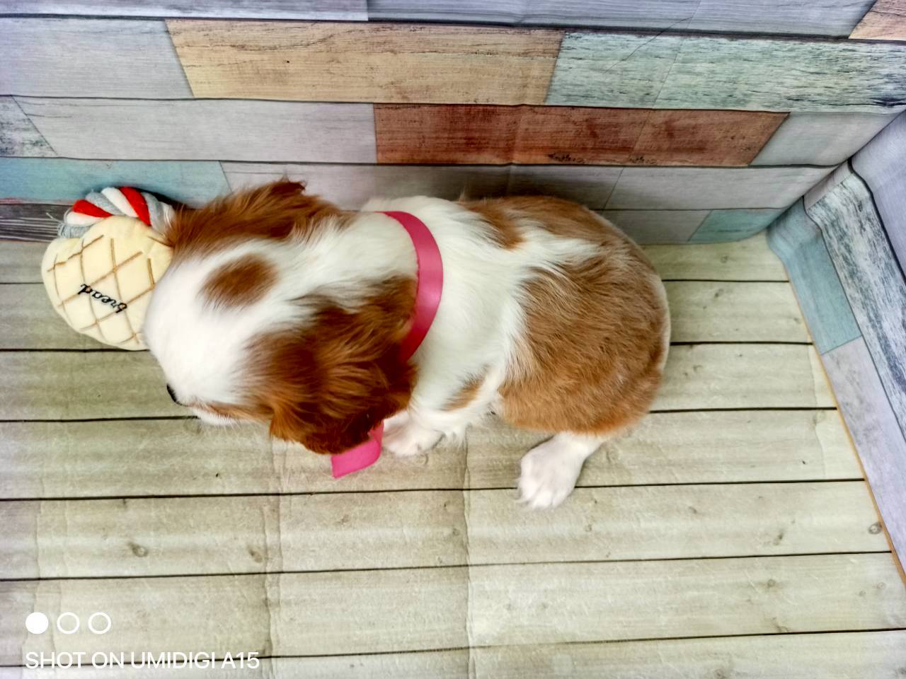 赤ちゃん写真3-3