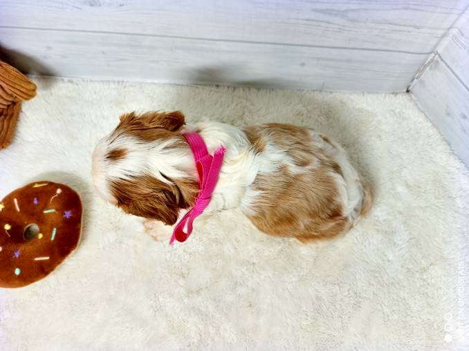 赤ちゃん写真2-3