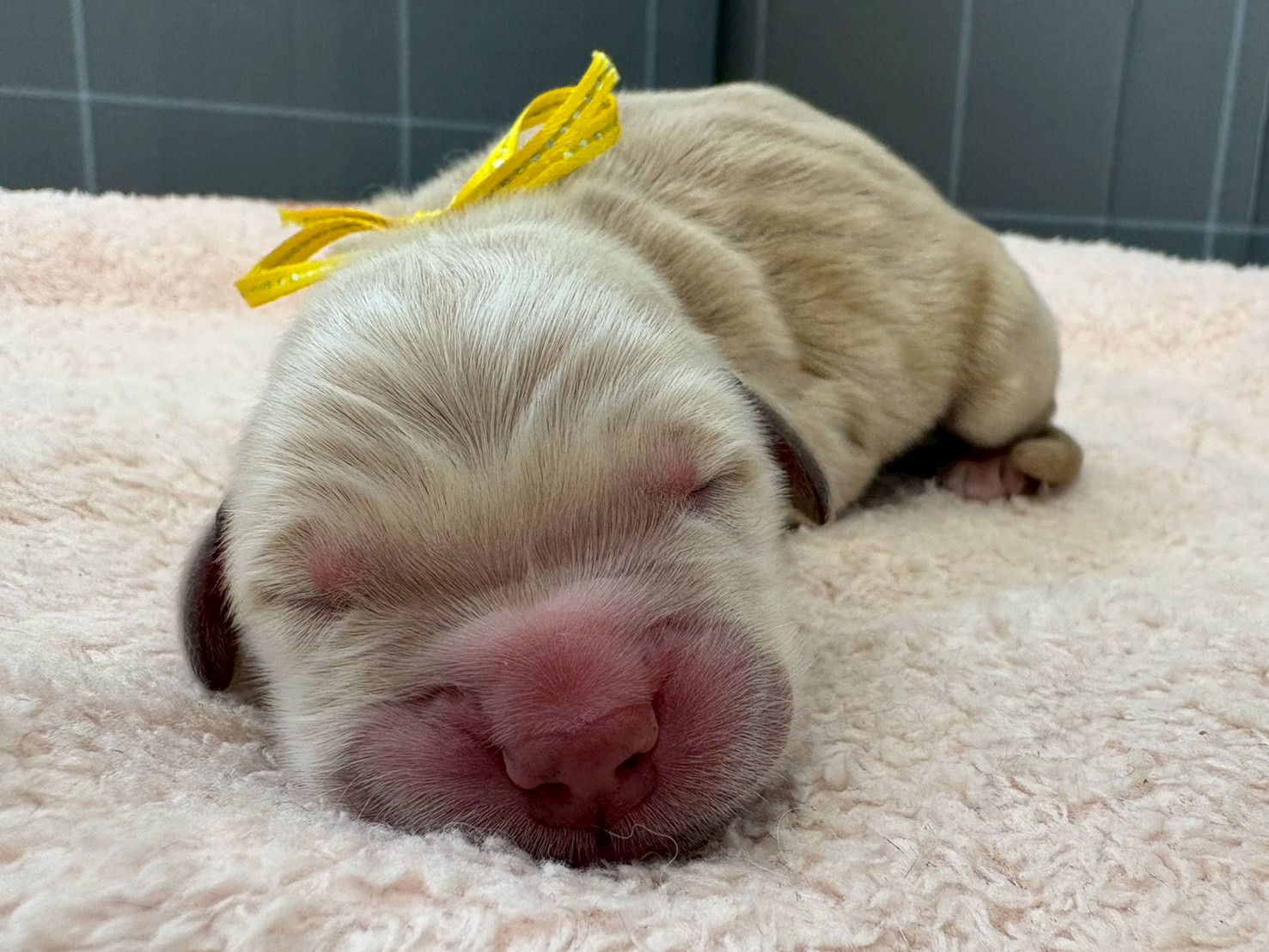 赤ちゃん写真1-1
