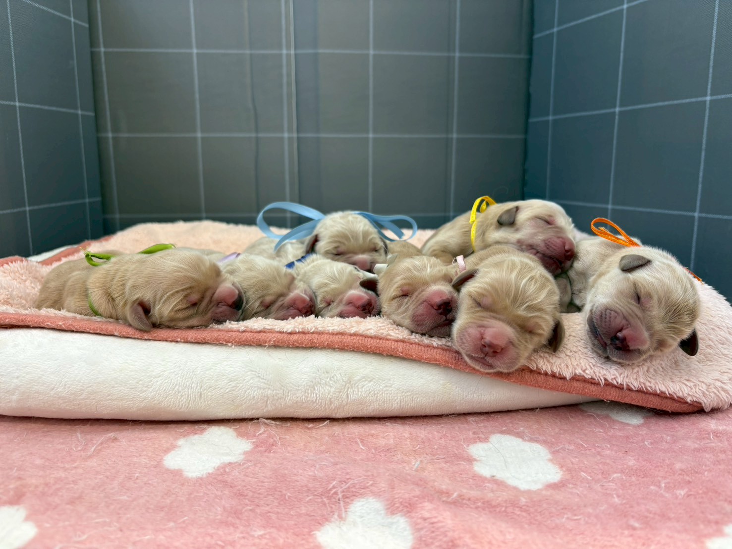 赤ちゃん写真1-3