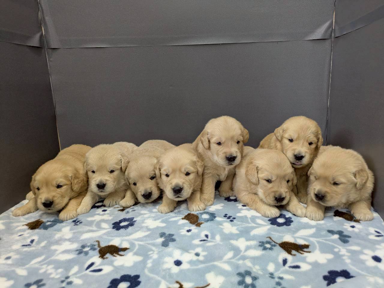 赤ちゃん写真2-3