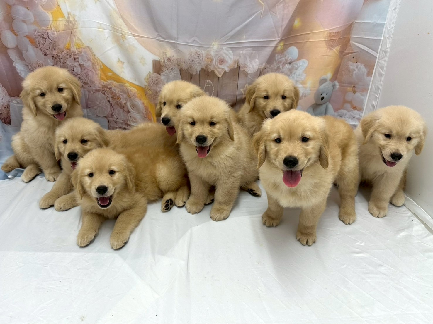 赤ちゃん写真3-3