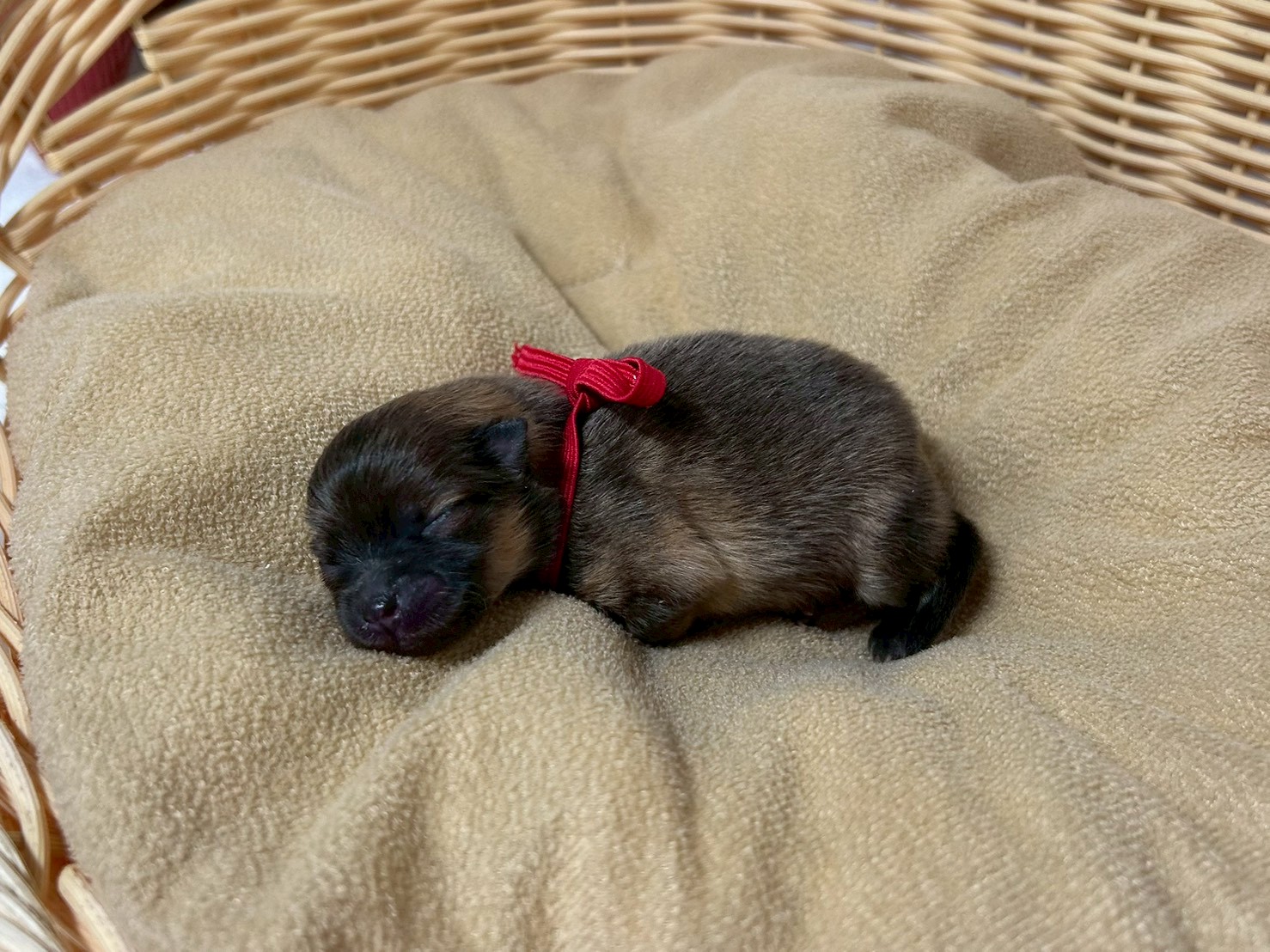 赤ちゃん写真1-2