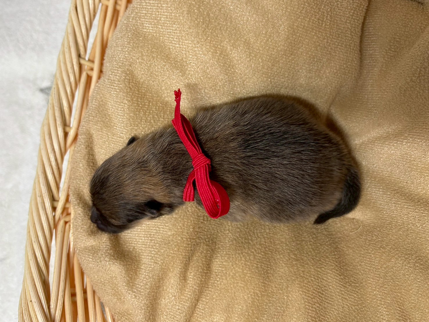 赤ちゃん写真1-3
