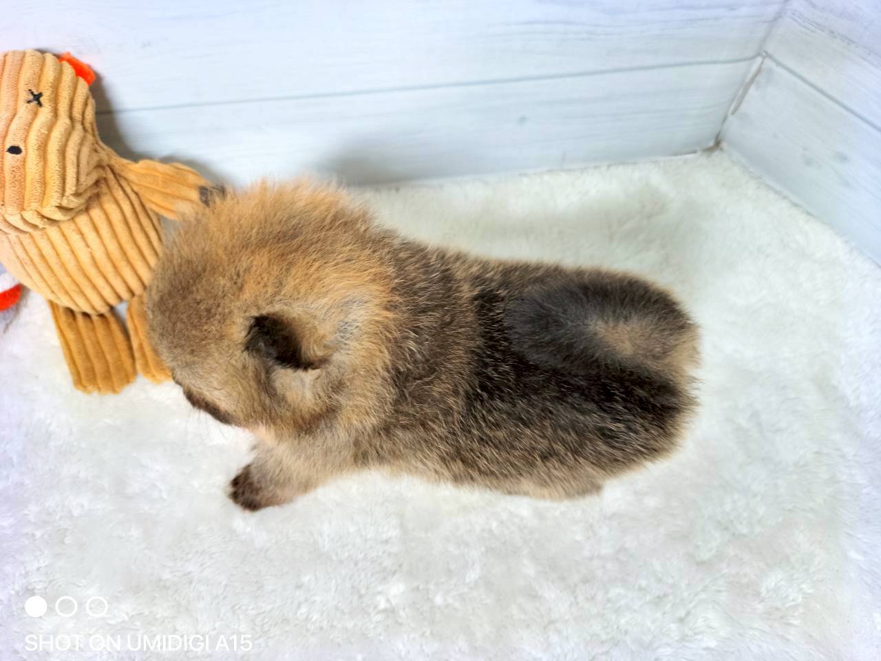 赤ちゃん写真2-3