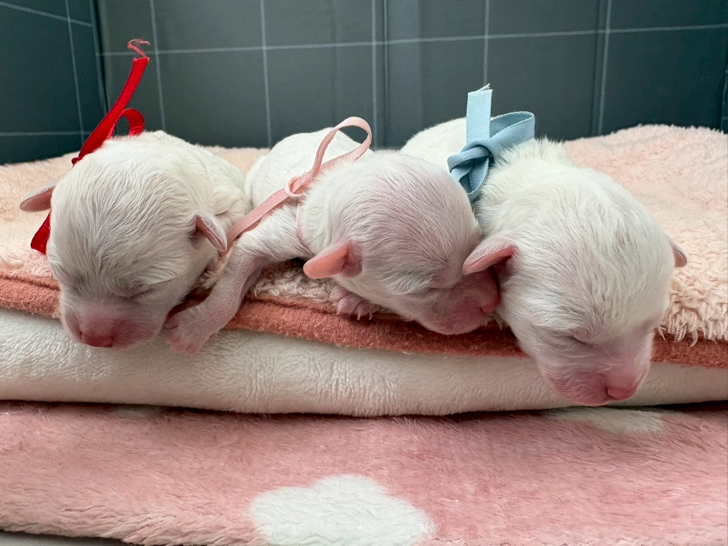 赤ちゃん写真1-3