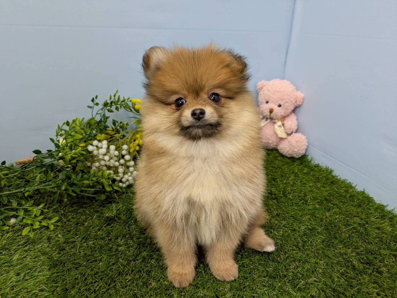 赤ちゃん写真3-1