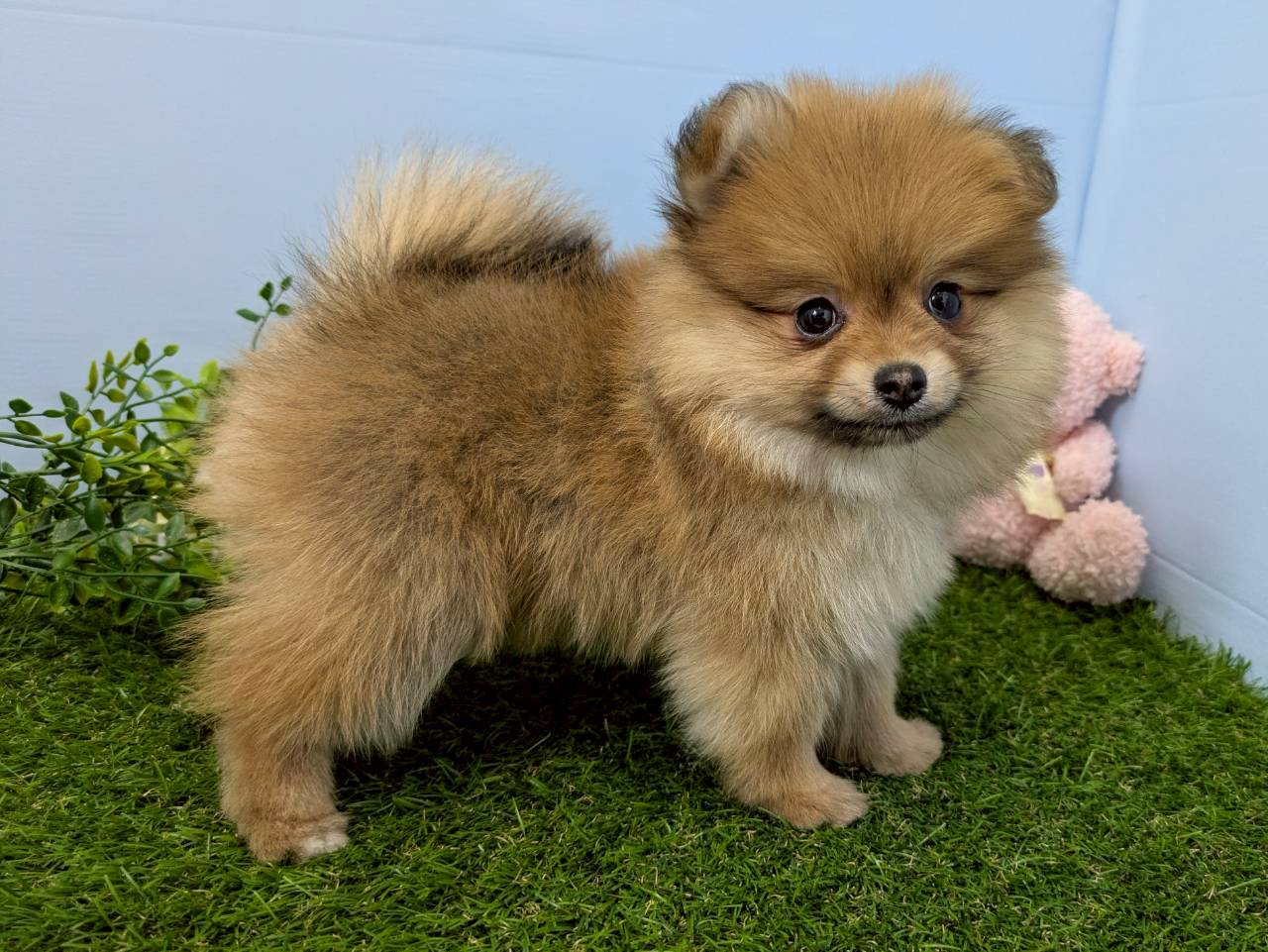 赤ちゃん写真3-2
