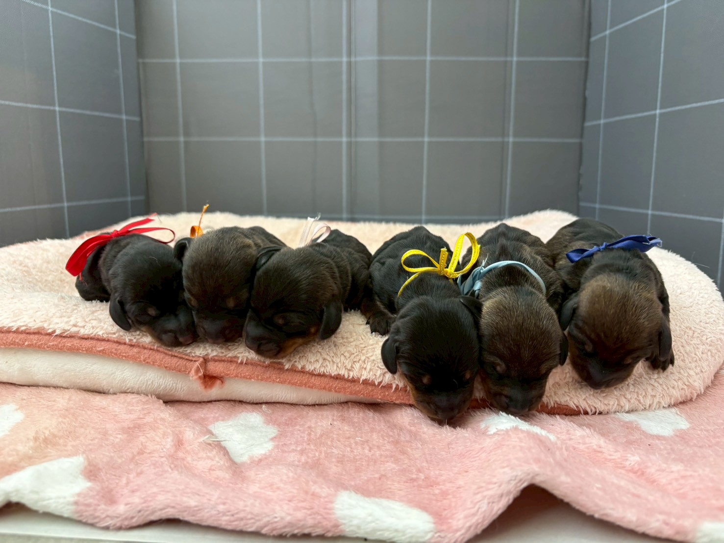 赤ちゃん写真1-3