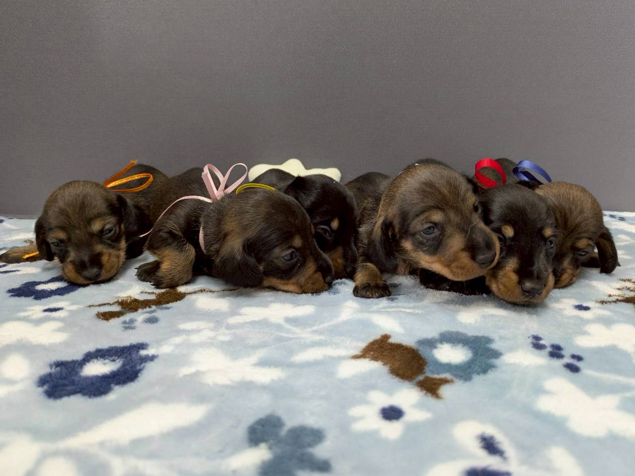 赤ちゃん写真2-3