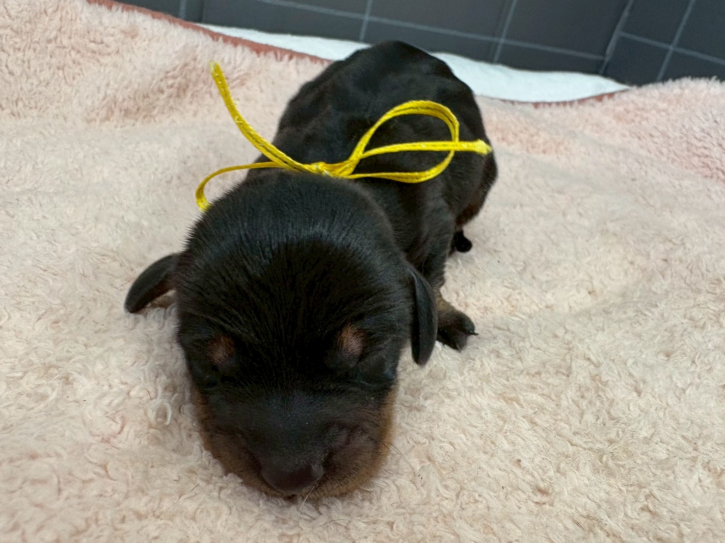 赤ちゃん写真1-1