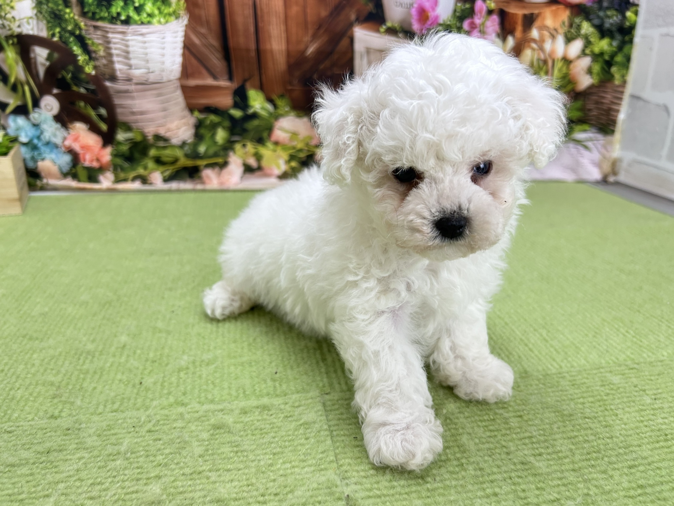 赤ちゃん写真2-2
