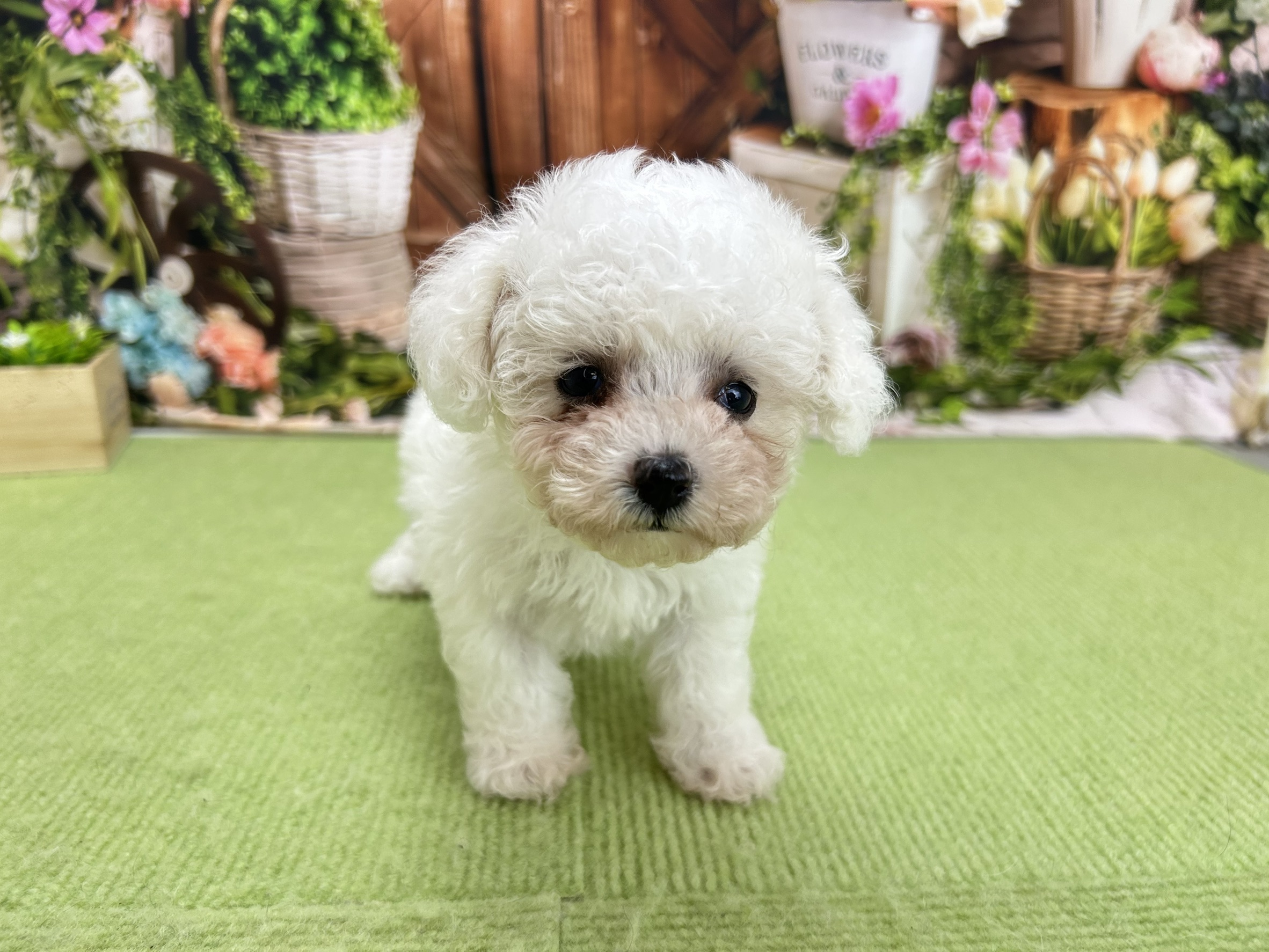 赤ちゃん写真2-1