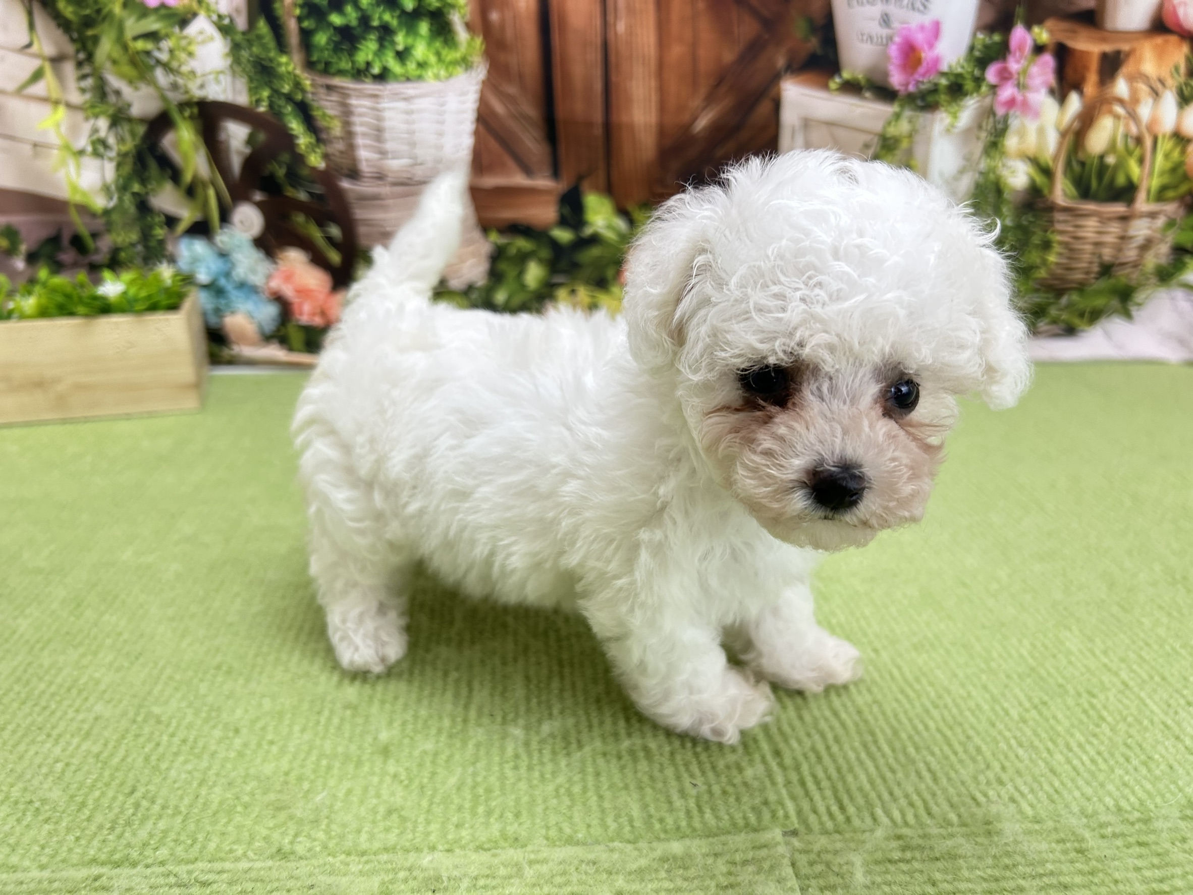 赤ちゃん写真2-2