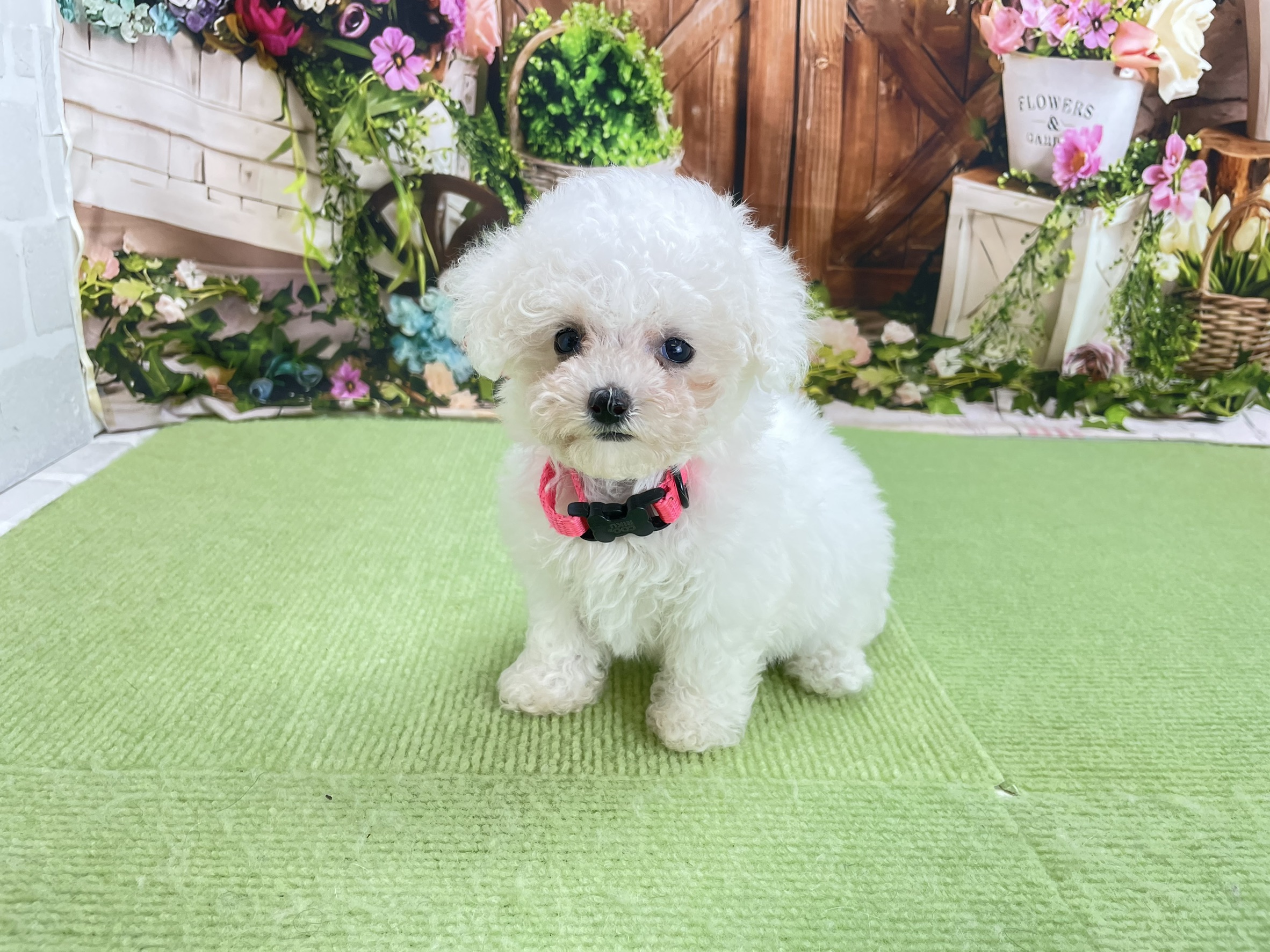 赤ちゃん写真3-1