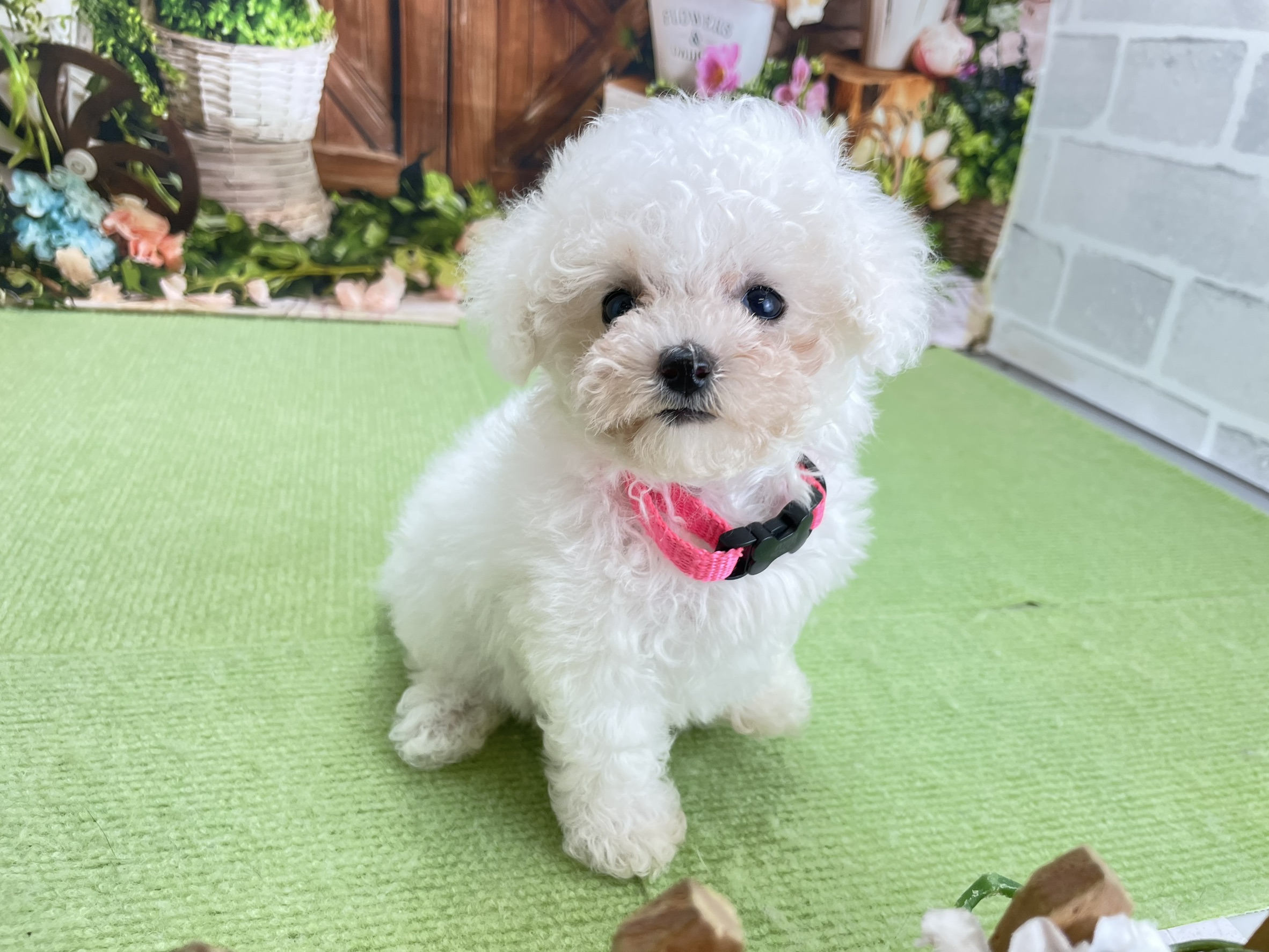 赤ちゃん写真3-2