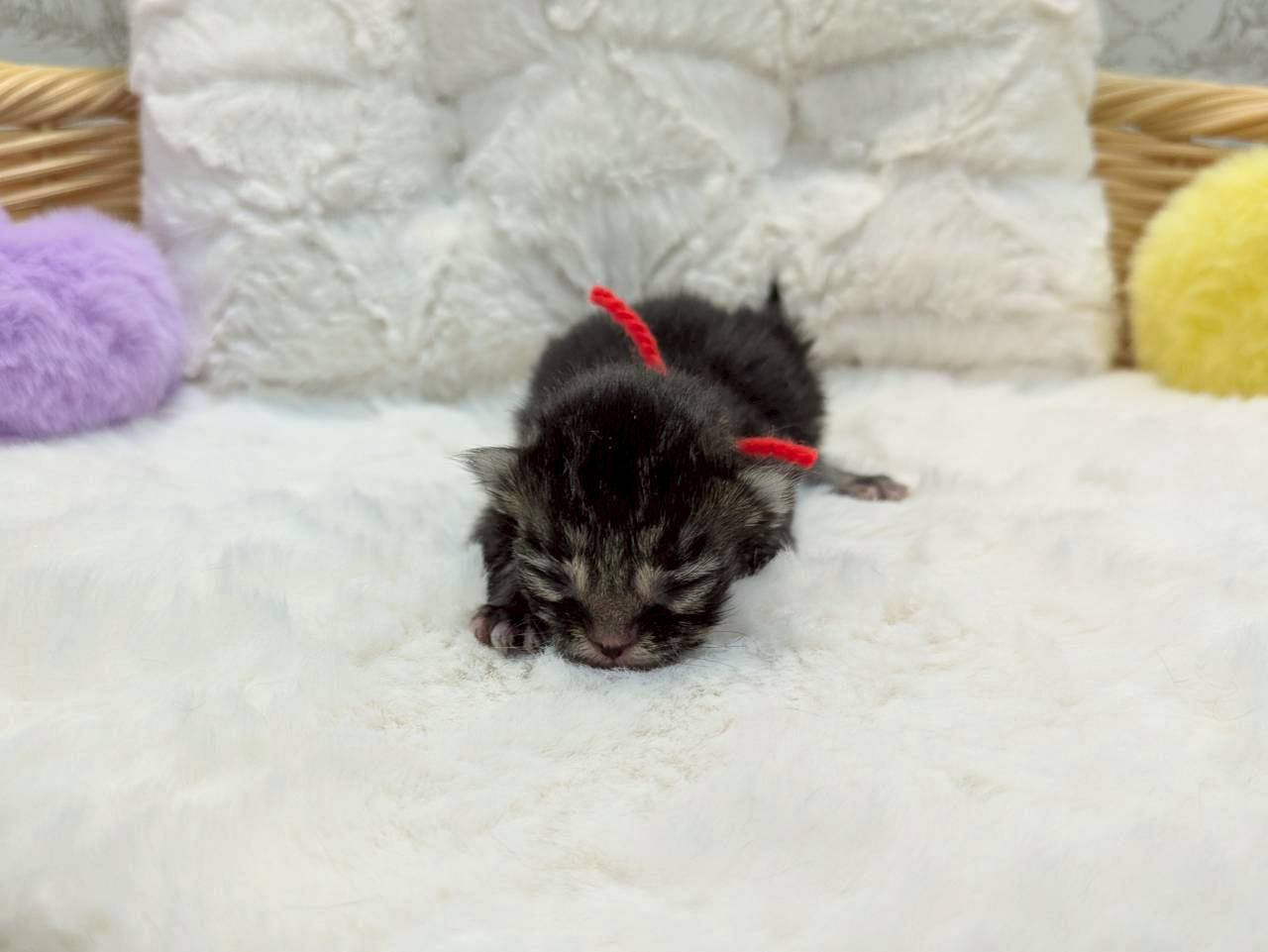 赤ちゃん写真1-1