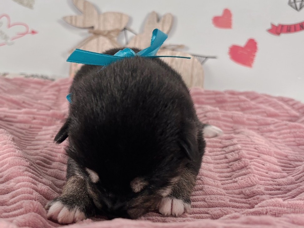 赤ちゃん写真1-1