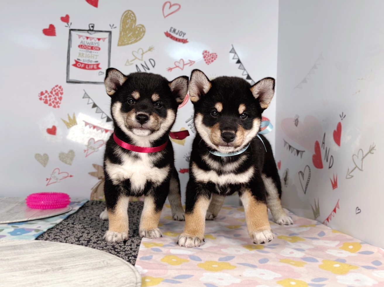 赤ちゃん写真2-3