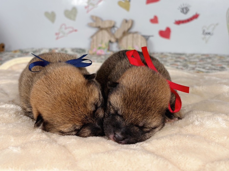 赤ちゃん写真1-3