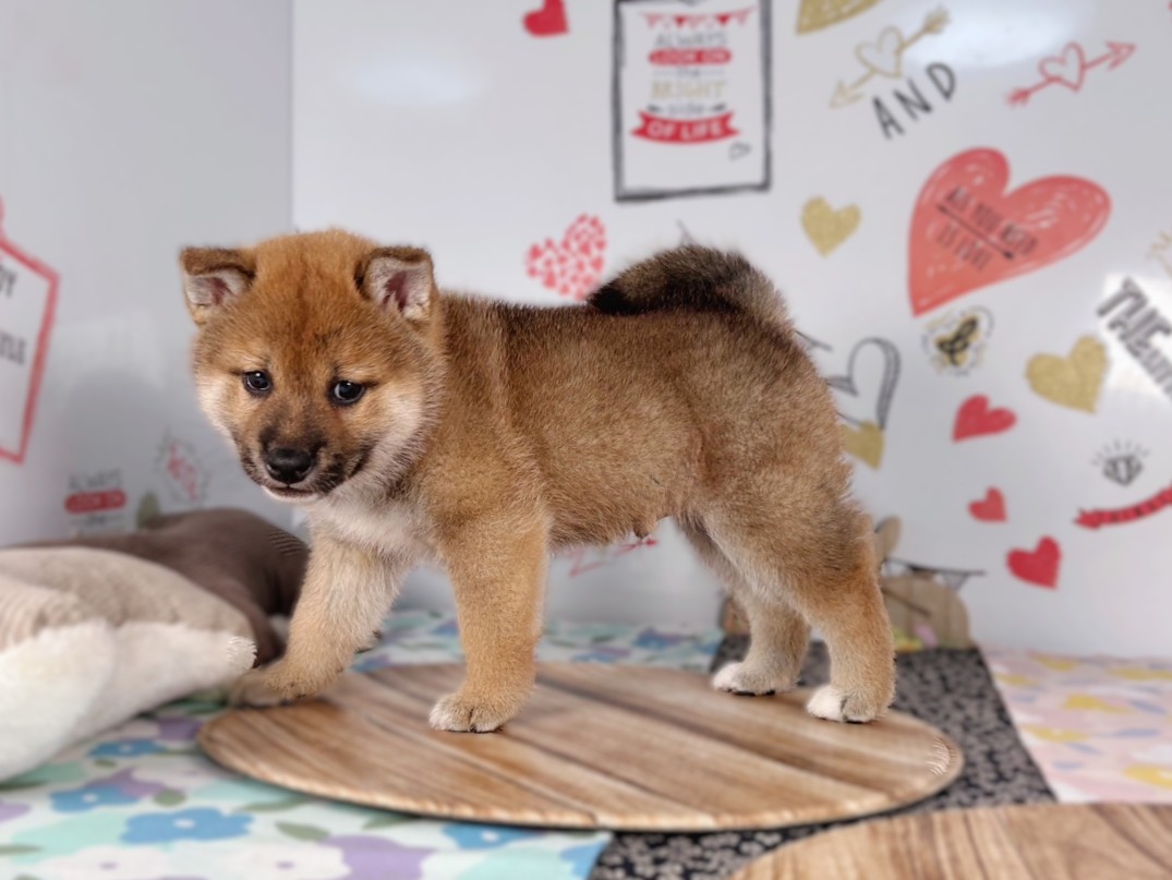 赤ちゃん写真2-2