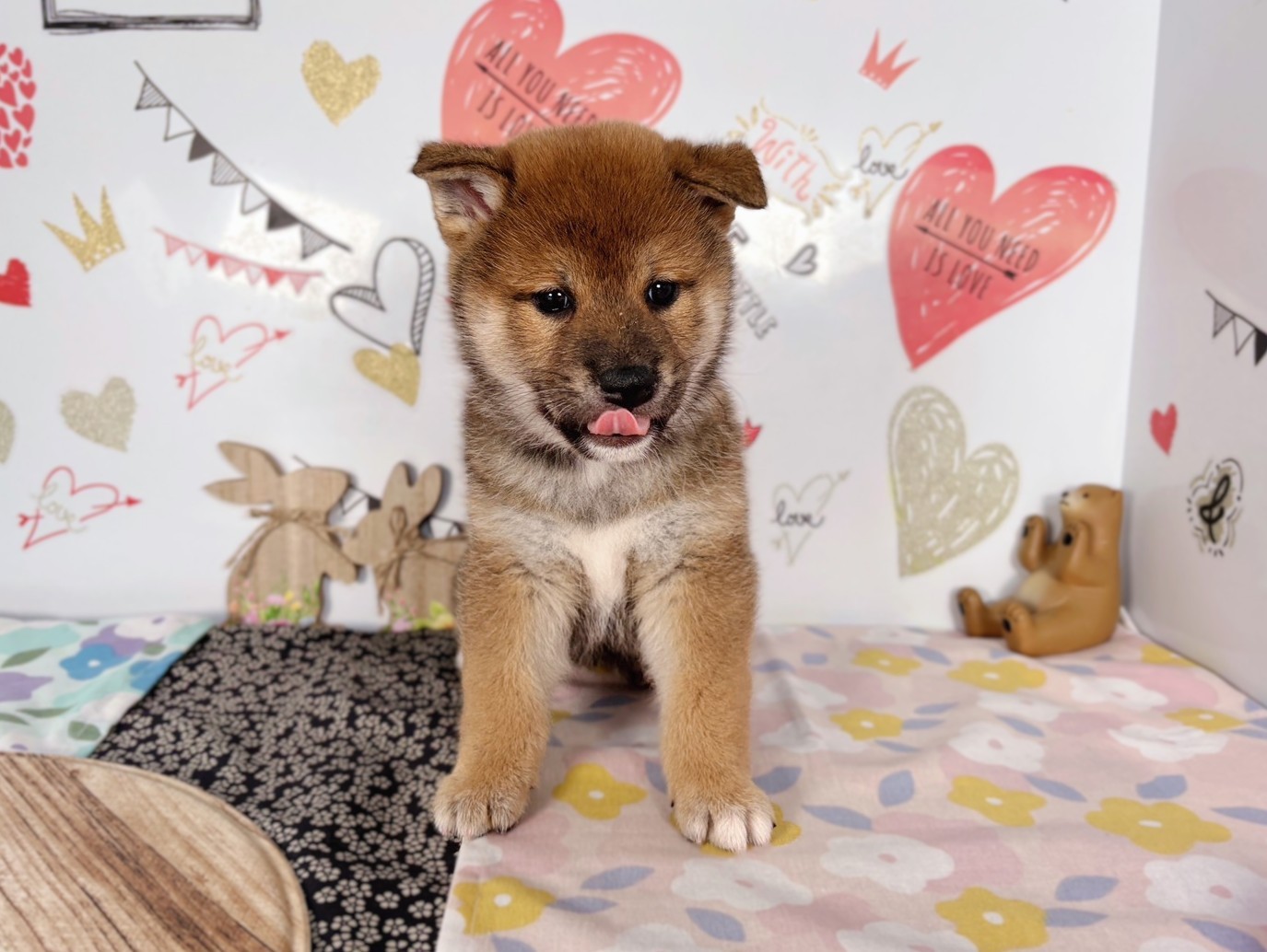 赤ちゃん写真2-1