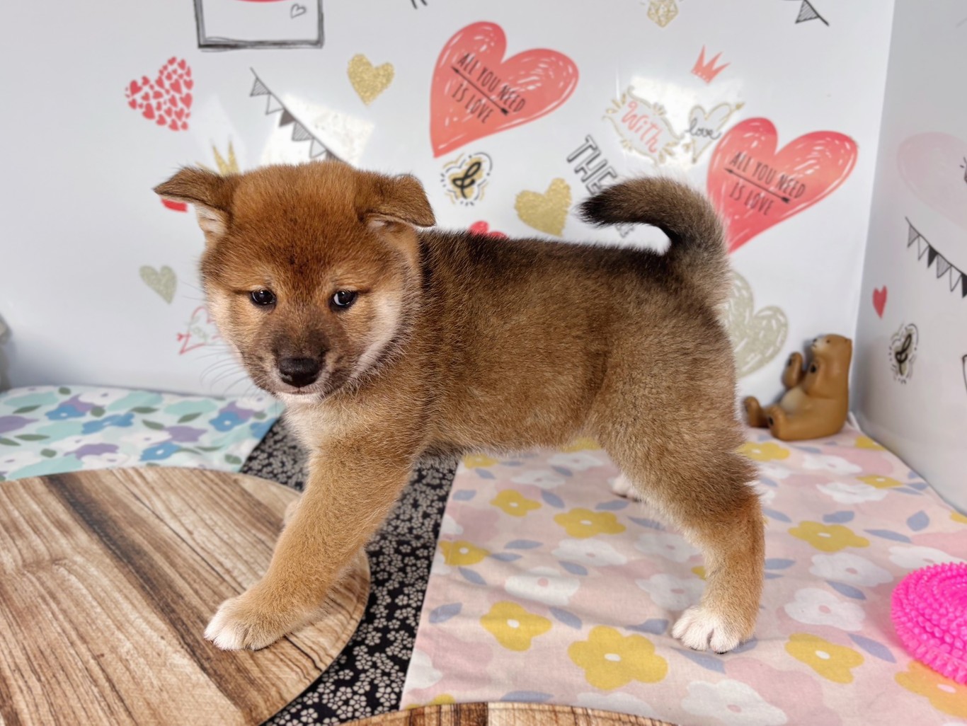 赤ちゃん写真2-2