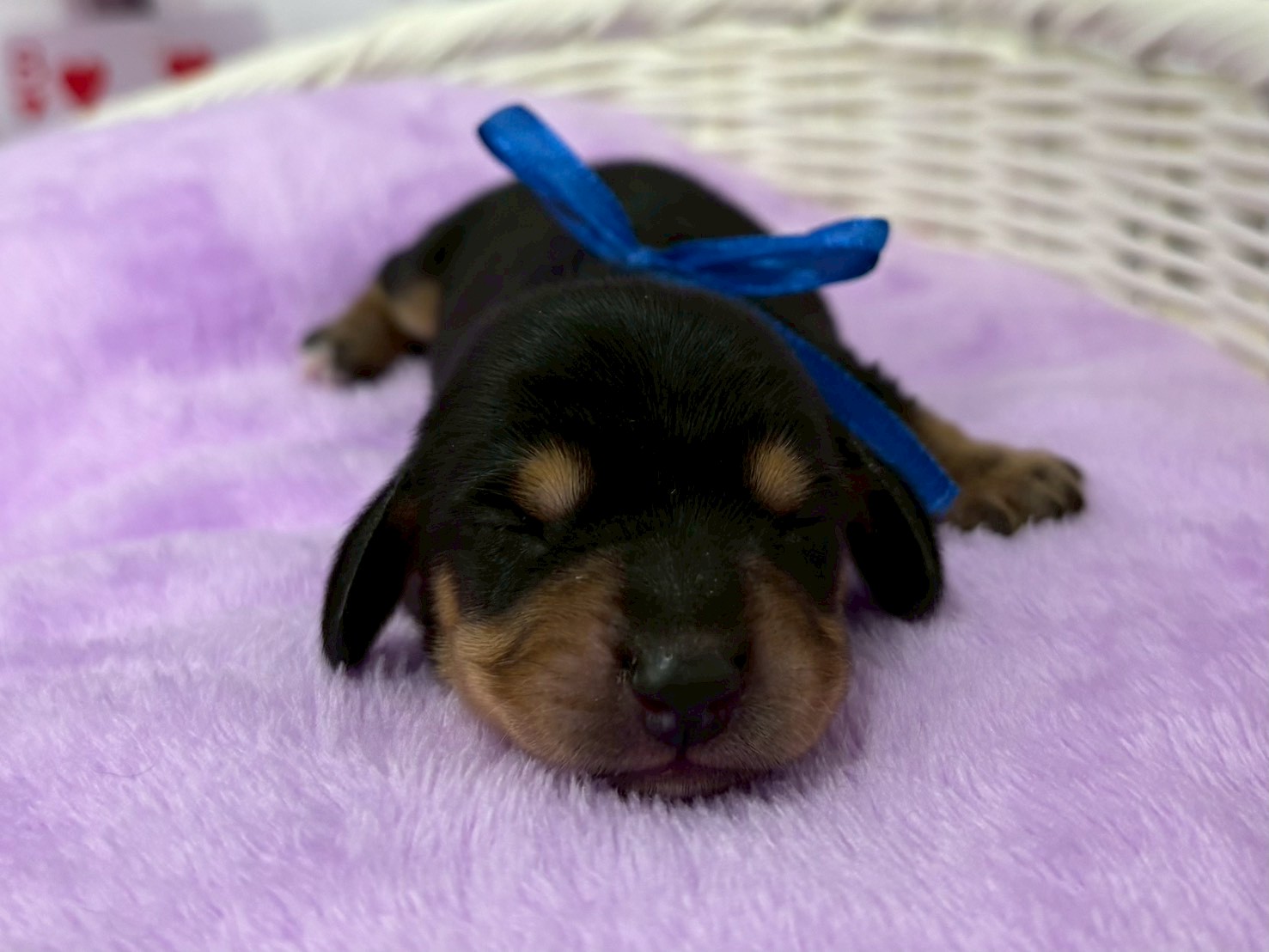 赤ちゃん写真1-1