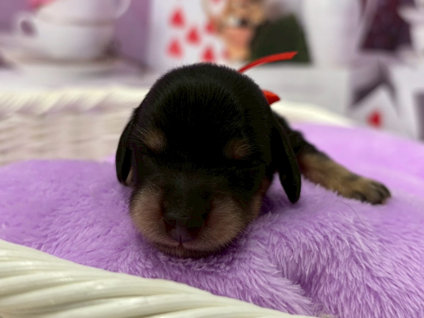 赤ちゃん写真1-1