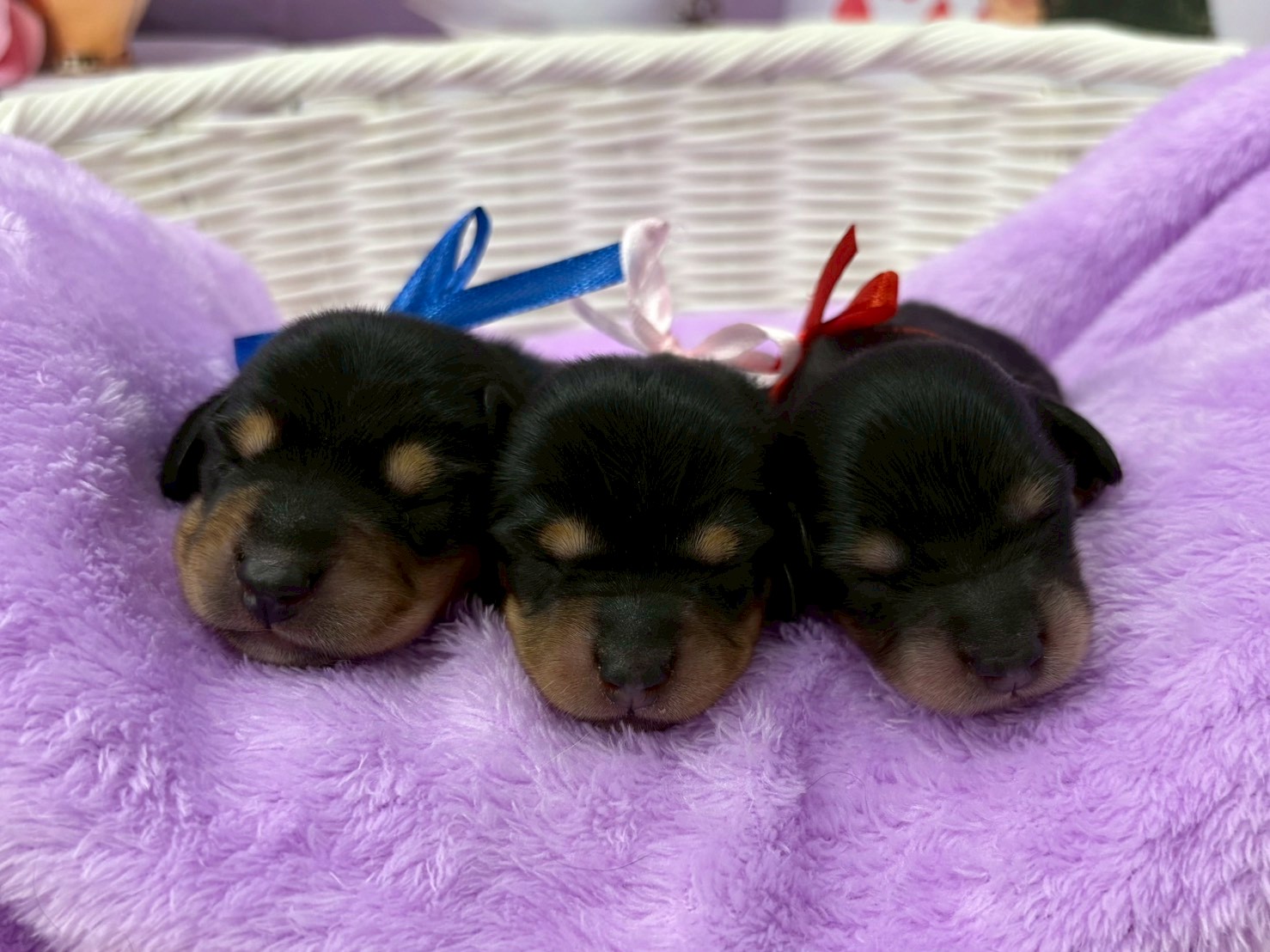 赤ちゃん写真1-3