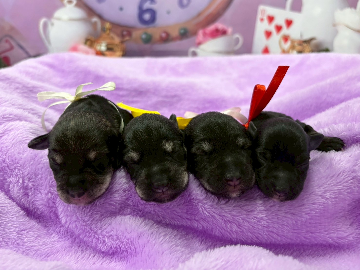 赤ちゃん写真1-3