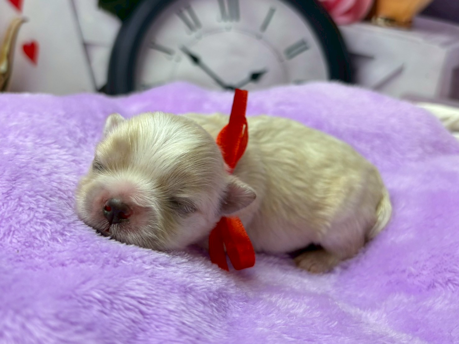 赤ちゃん写真1-2