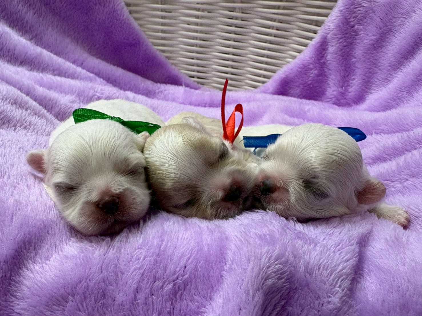 赤ちゃん写真1-3