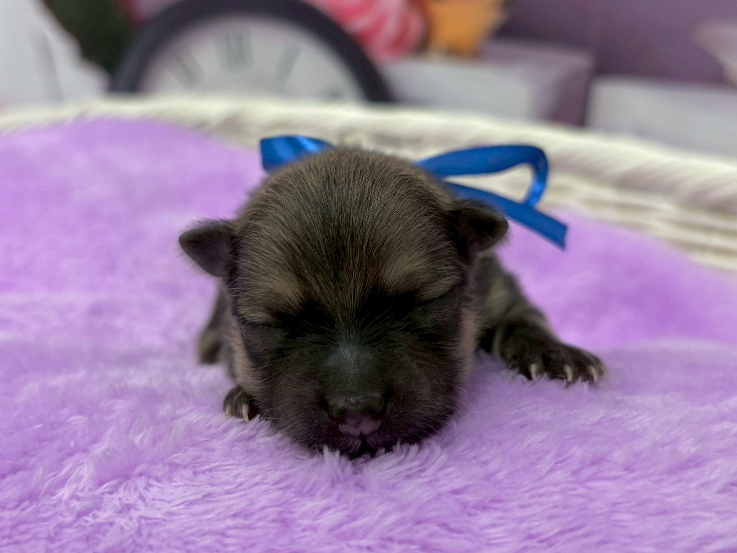 赤ちゃん写真1-1