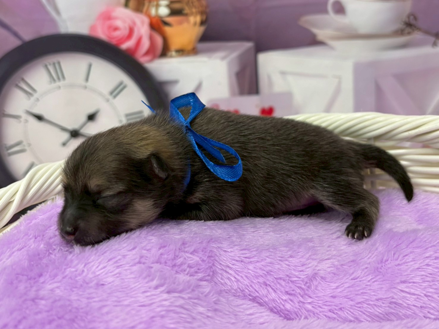 赤ちゃん写真1-2