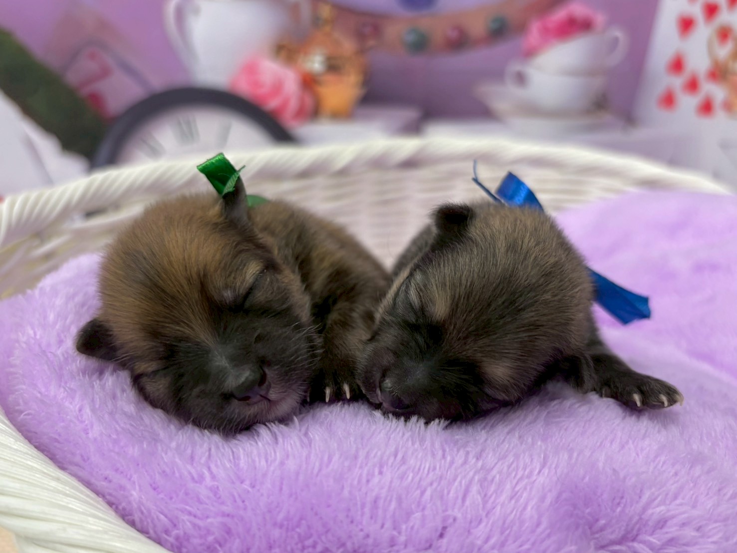 赤ちゃん写真1-3