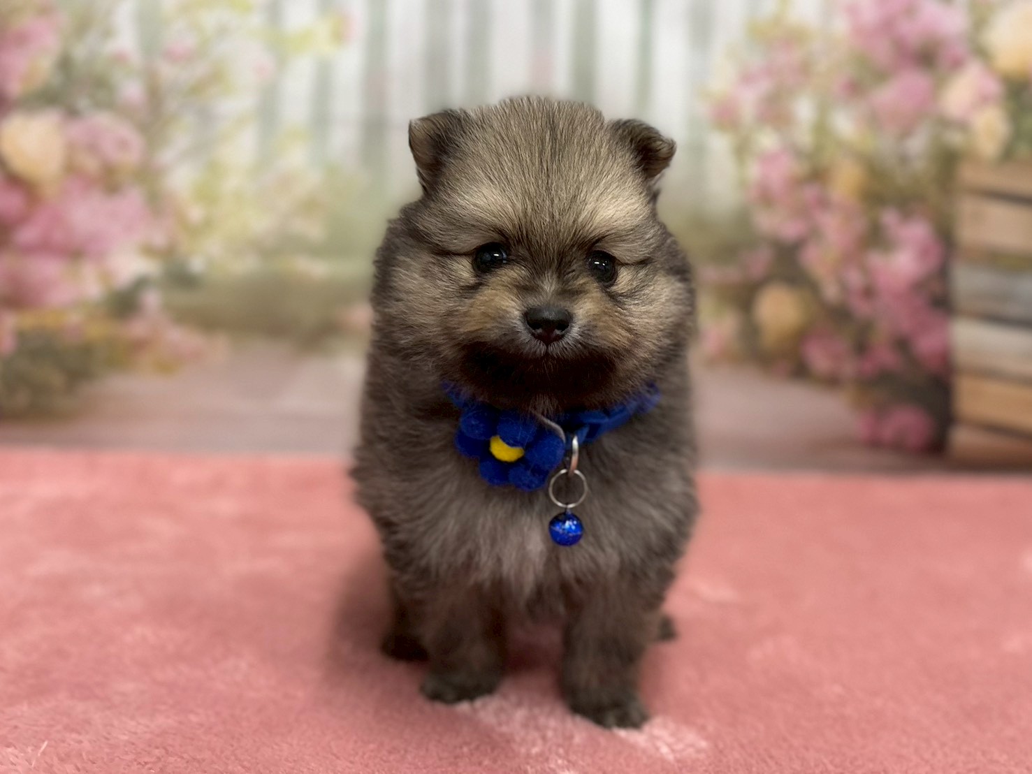 赤ちゃん写真2-1