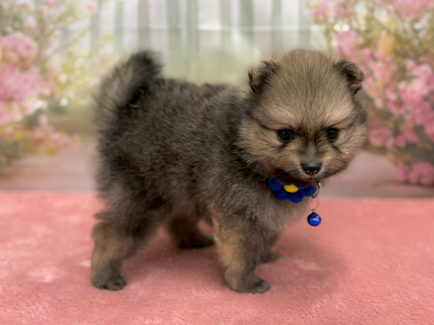 赤ちゃん写真2-2