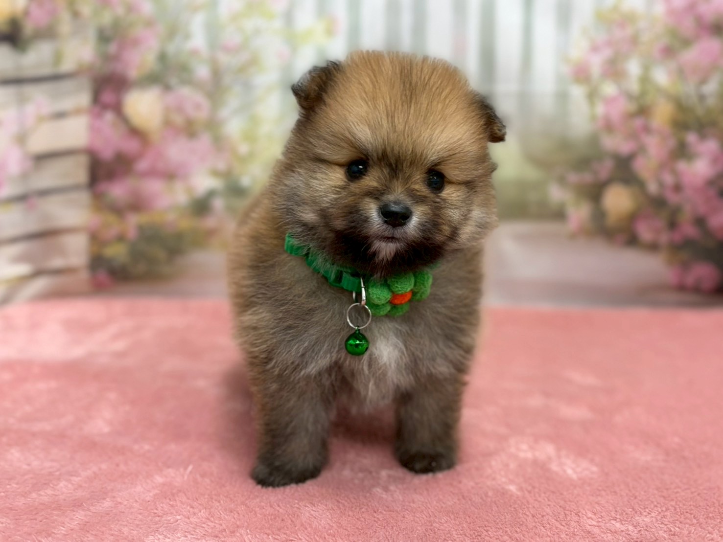 赤ちゃん写真2-1