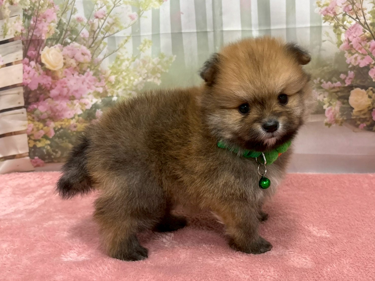 赤ちゃん写真2-2